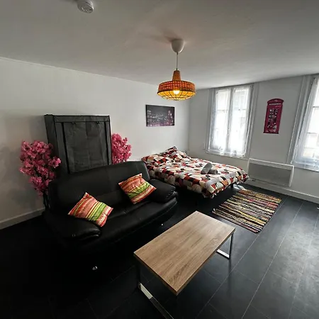 Apartament Le Printemps Des Fleurs - Centre - Wifi
